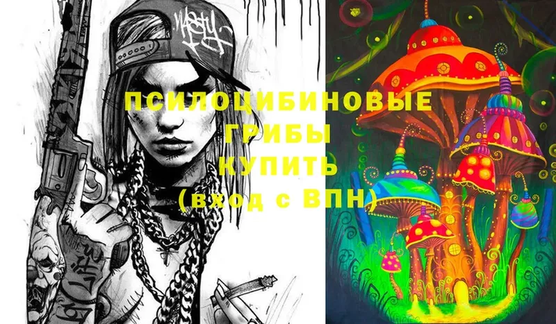 Галлюциногенные грибы Cubensis  Владикавказ 